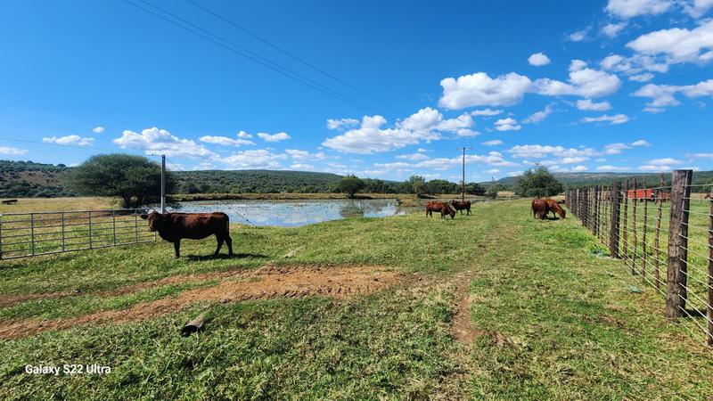 0 Bedroom Property for Sale in Olifantshoek North West